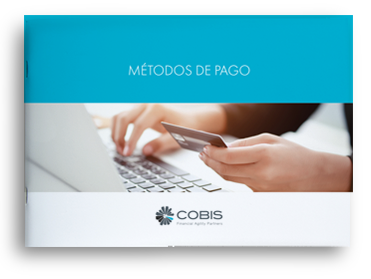 Whitepaper métodos de pago