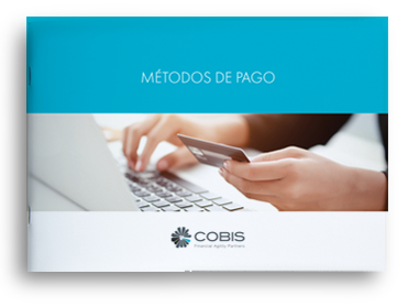 Whitepaper métodos de pago